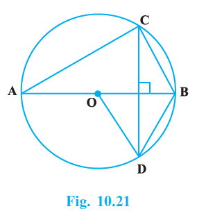 Page 107 Chapter 10 Class 9th NCERT Exemplar